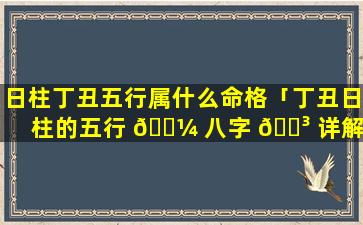 日柱丁丑五行属什么命格「丁丑日柱的五行 🐼 八字 🐳 详解」